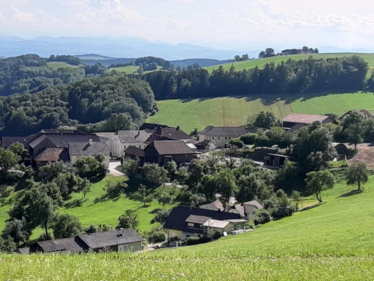 Appartement Rotheneder- Rupp *